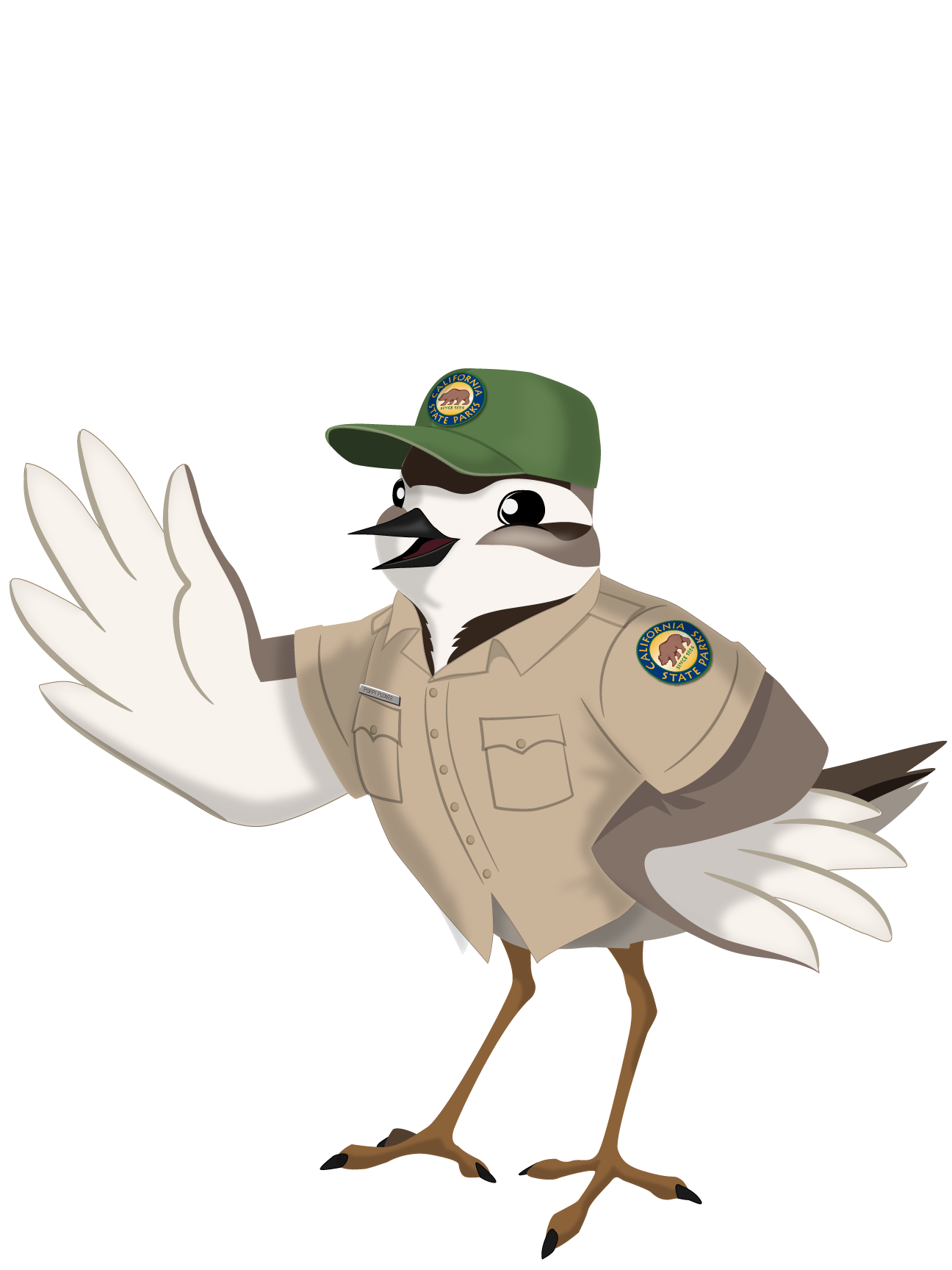 Cartoon Snowy Plover bird in State Park Uniform waving with feathered wing.